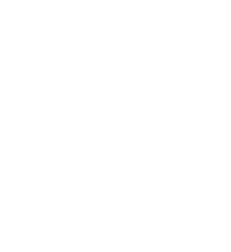 i_proteccion_informacion_critica