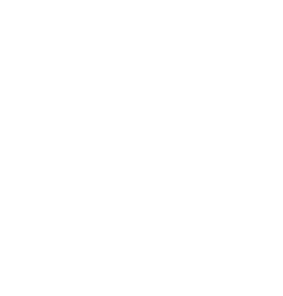 i_soporte_tecnico_especializado
